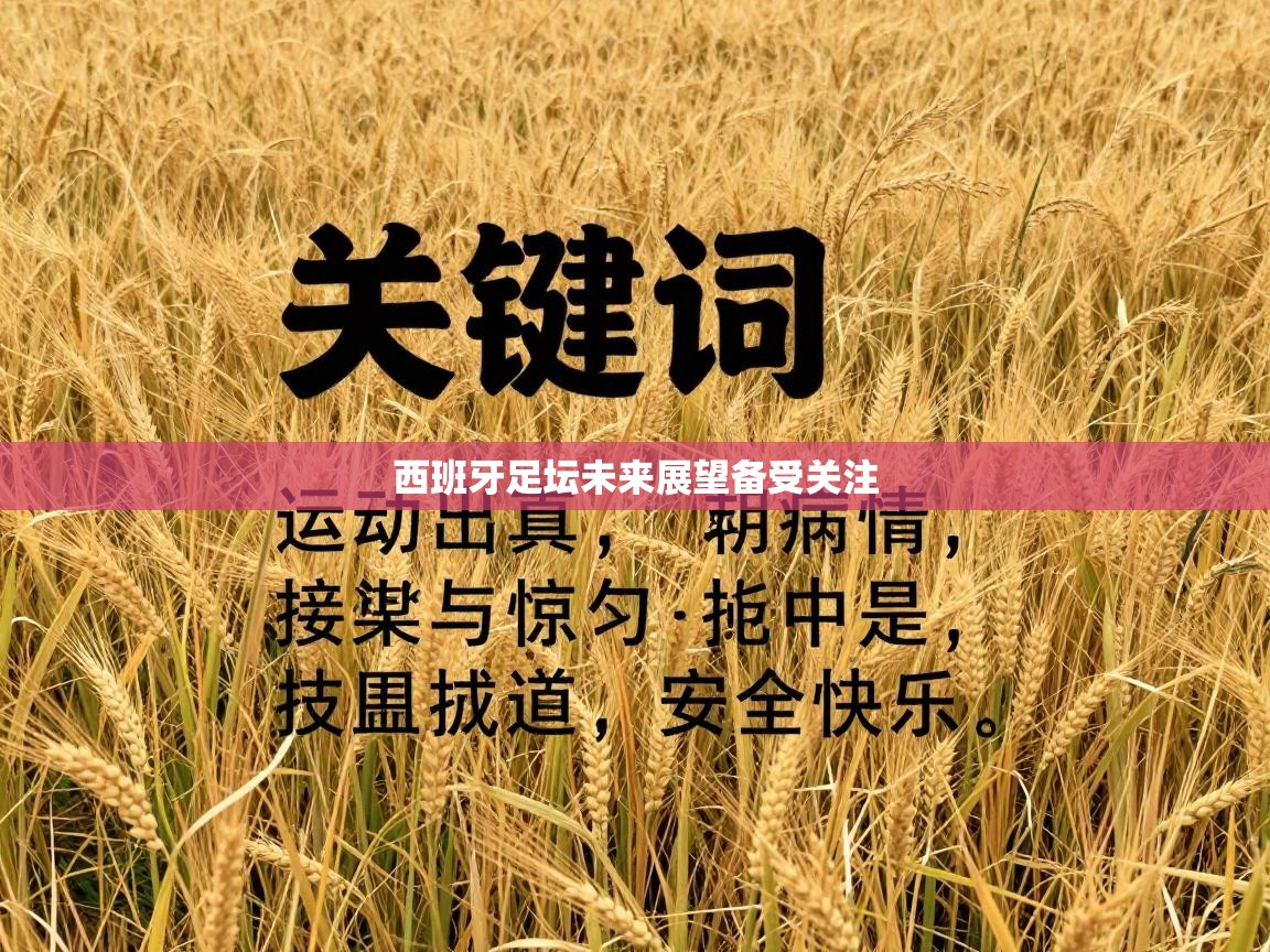 西班牙足坛未来展望备受关注  第1张