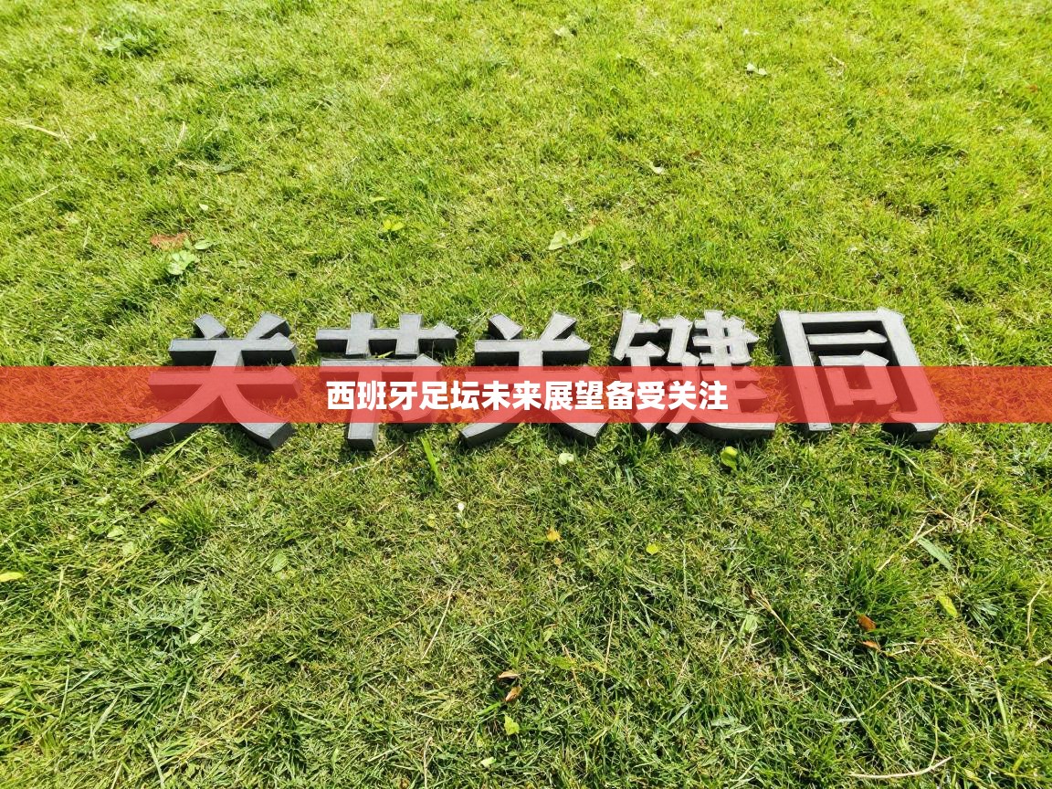 西班牙足坛未来展望备受关注  第2张